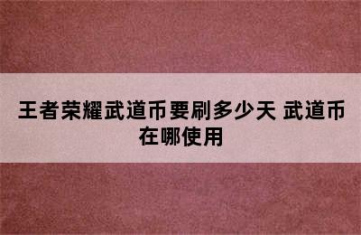 王者荣耀武道币要刷多少天 武道币在哪使用